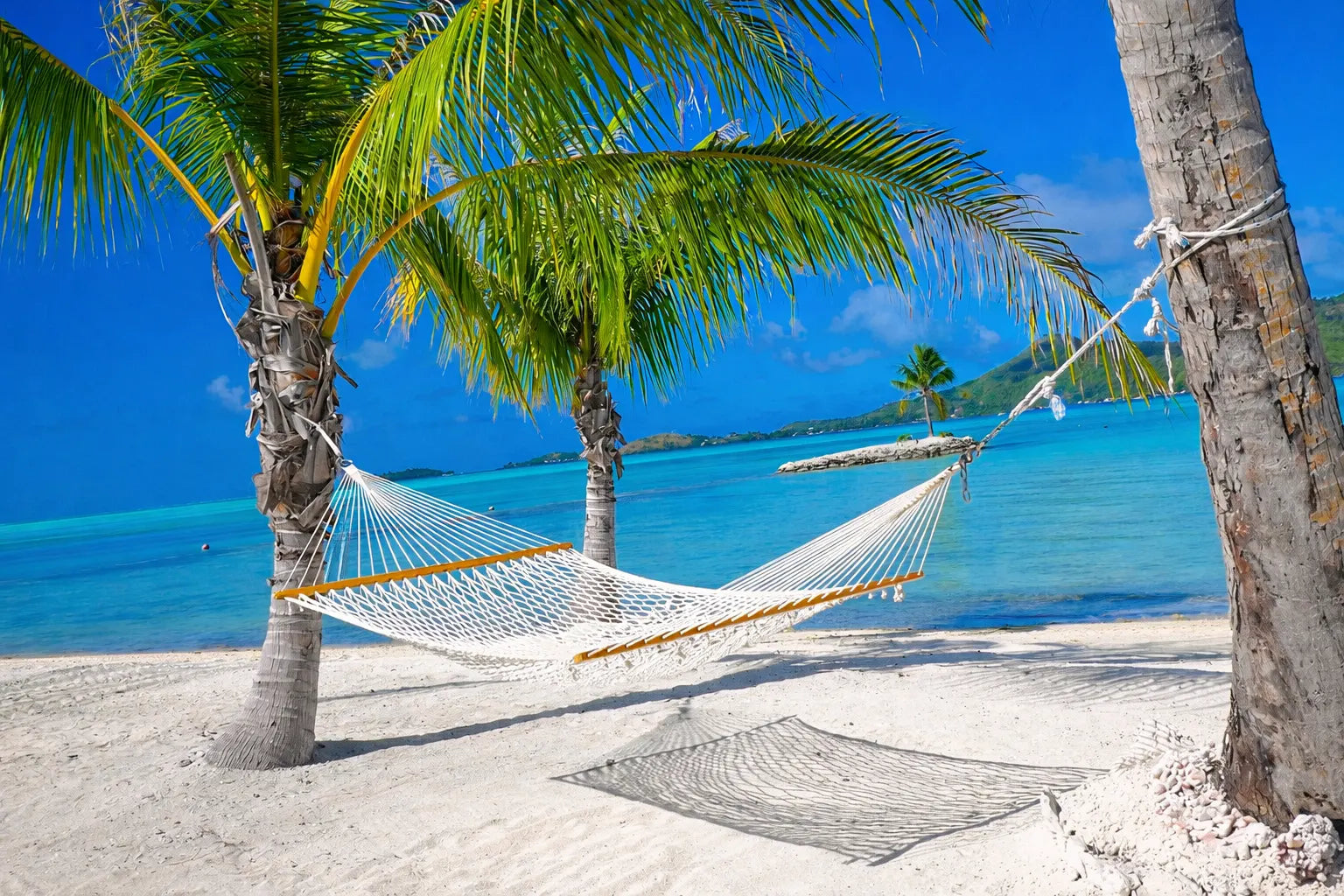 Hammock between two palm trees on a tropical beach with clear blue water and sky. 50501-PWT