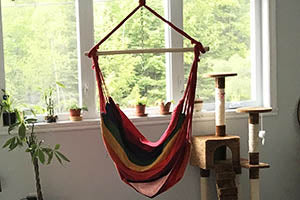 hot colour Brazilian hammock chair