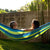 HAMMOCK-UNIVERSE-PREMIUM-COLLECTION