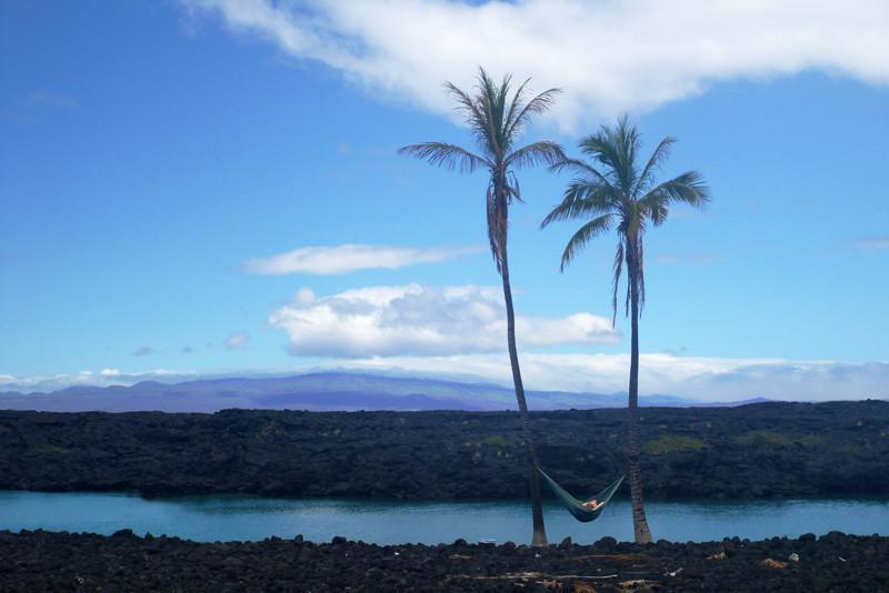 Hammock Universe Hammocks Navy and Light Blue Parachute Expedition Hammock - Double